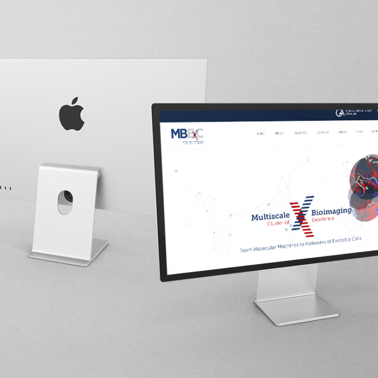 Webdesign, Wordpress, Programmierung - Kunde: MBExC - Universitätsmedizin Göttingen